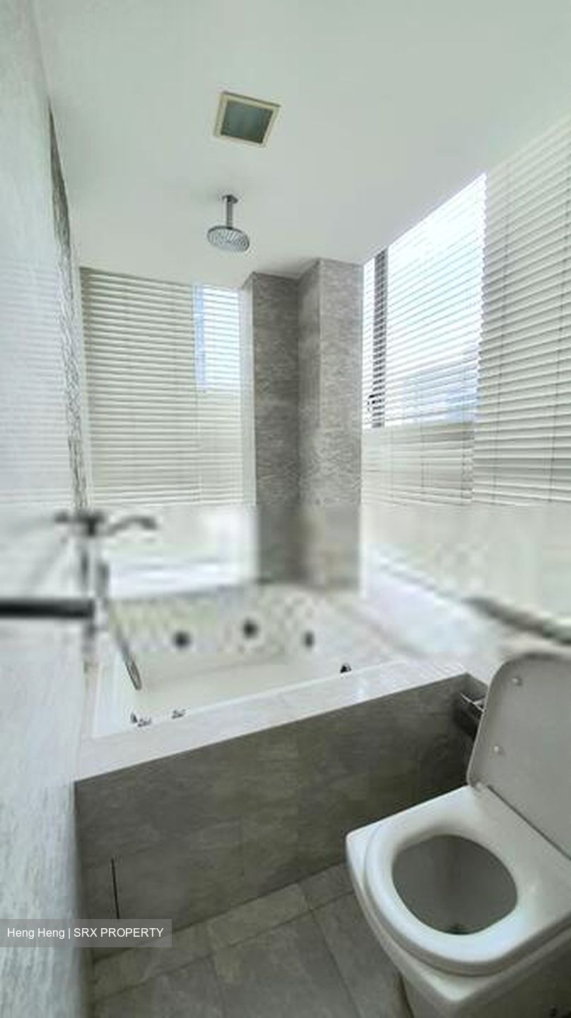 Angullia Park Residences @ Orchard (D10), Apartment #408302221